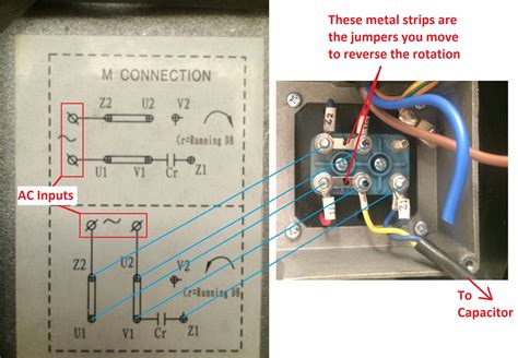 how to wire a 220 timer box for electric motor|single phase 220v wiring diagram.